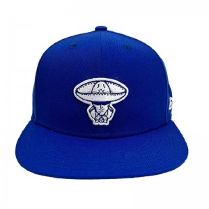 หมวกใหม่ที่ขายขายส่งแบรนด์ฮอตหมวก 6 แผงฮิปฮอป snapback หมวกหมวก
